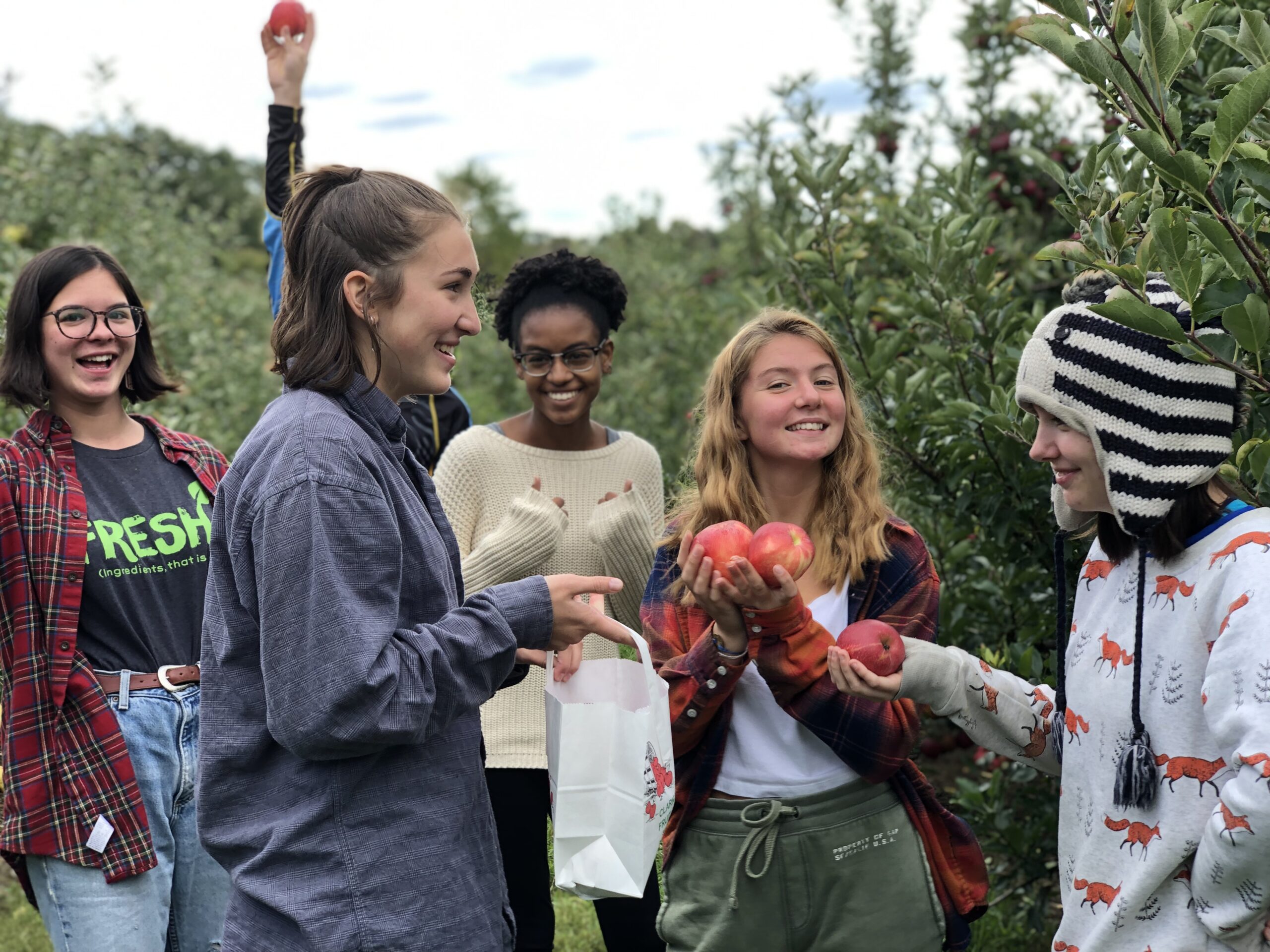 Students pick apples in an orchard